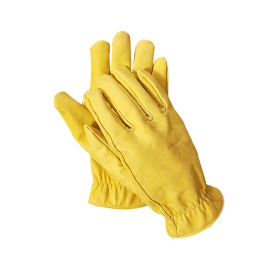 Fashion Gloves