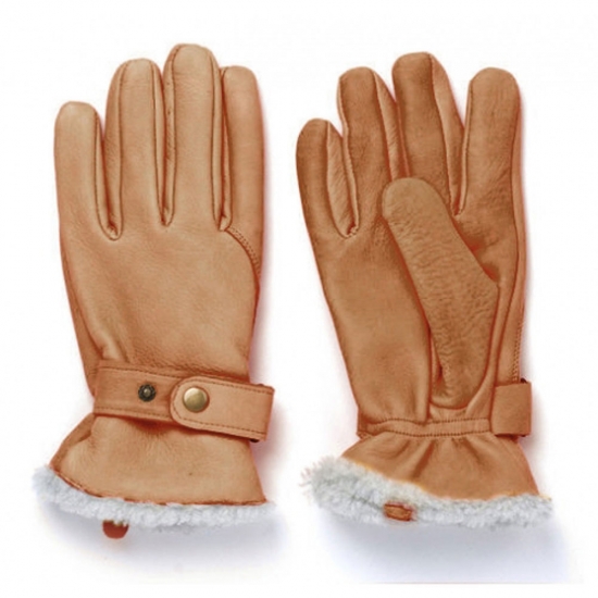 Winter Gloves