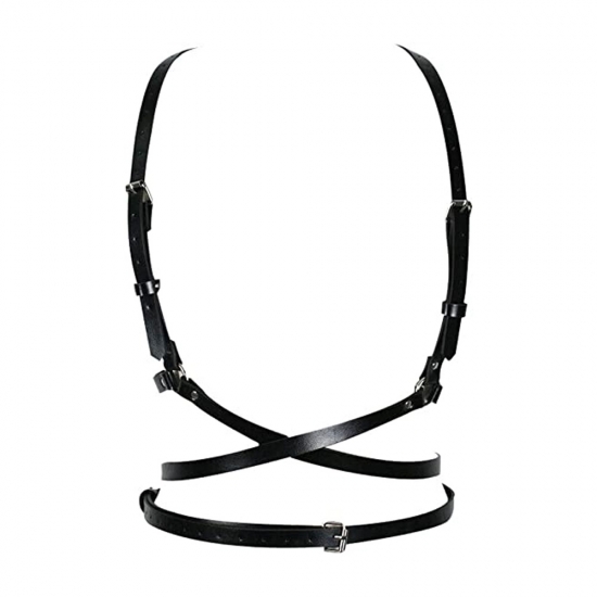Bostier & Suspender Belt