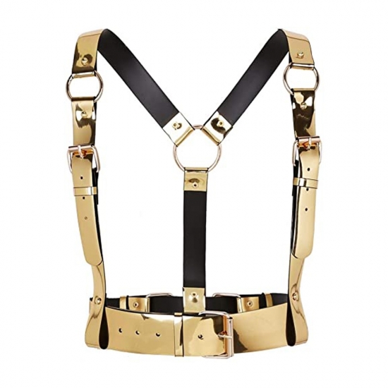 Bostier & Suspender Belt