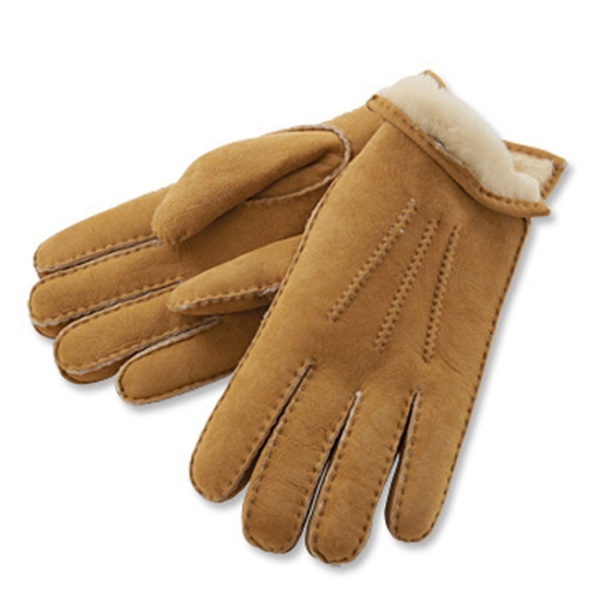 Winter Gloves